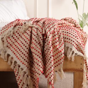 placeholder product – 1 (Copy)